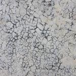 Texture Image