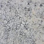 Texture Image