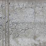 Texture Image
