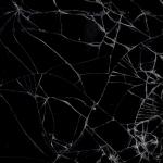 Texture Image