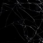 Texture Image