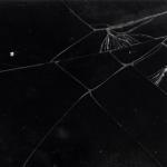 Texture Image
