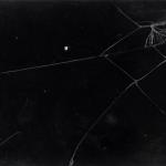 Texture Image