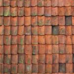 Texture Image