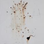 Texture Image