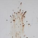 Texture Image