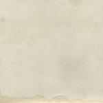 Texture Image