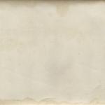 Texture Image