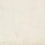 Texture Image