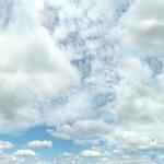 Texture Image