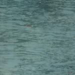 Texture Image