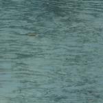 Texture Image